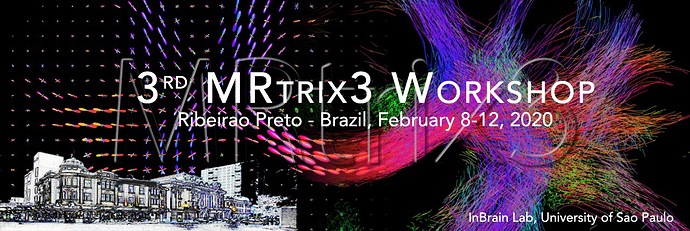 MRtrix3 workshop logo