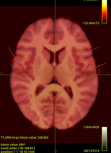 微信图片_20251113121639_677