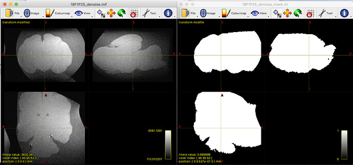 Screen Shot 2021-02-09 at 5.02.50 pm