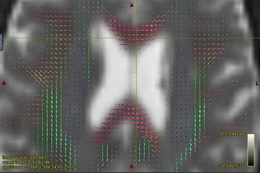 Screenshot 2025-08-04 at 08.42.39