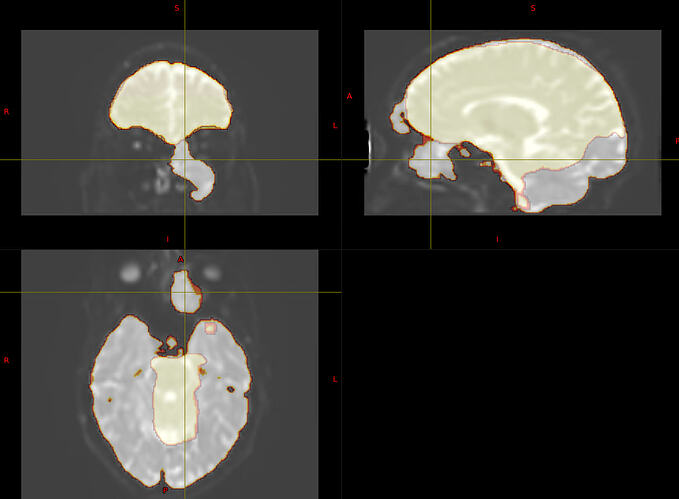 Screenshot 2026-02-06 at 9.04.41 AM