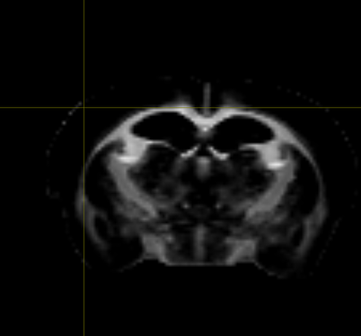 Screenshot from 2025-11-12 11-00-38