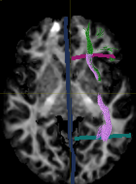 Captura de tela de 2025-09-11 08-42-19
