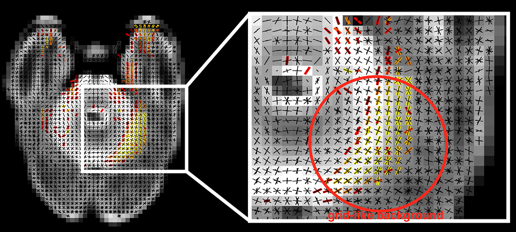 How to present the zoomed 'pixel-like' FBA results with the ...