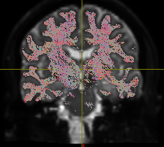 Screenshot from 2026-01-12 15-16-18