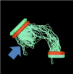 Optichasm_Tractography