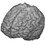 Colin_Hawco